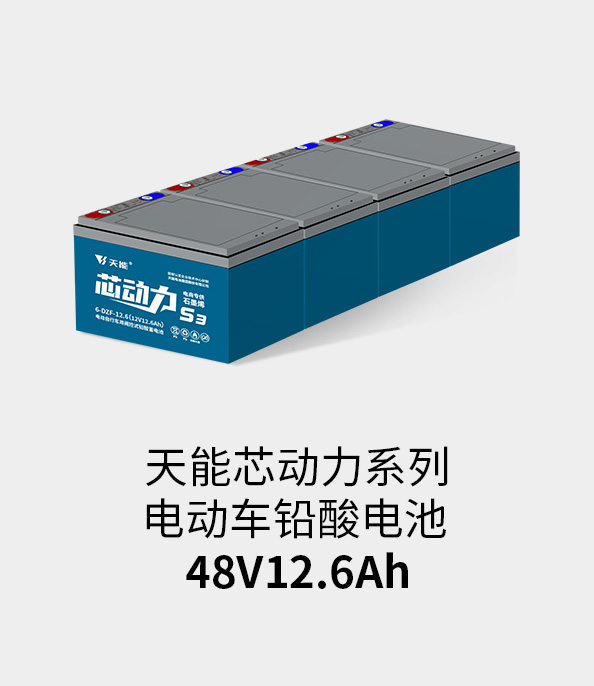 壹号电池48v12ah
