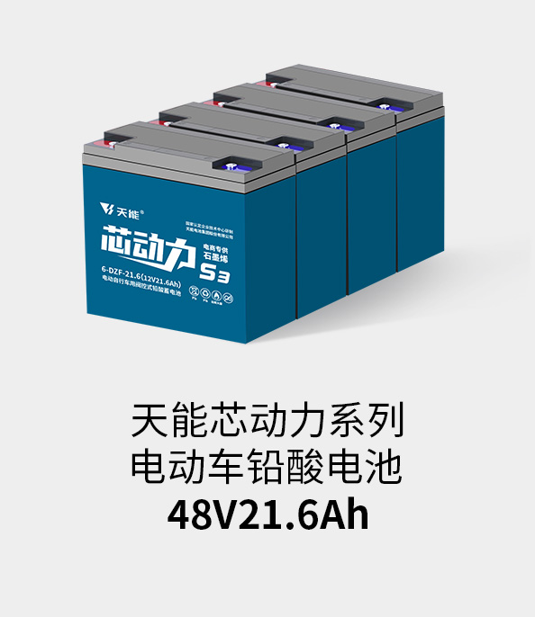 壹号电池48v20ah
