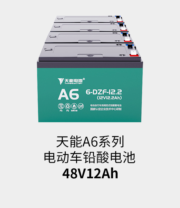壹号电池48v12ah
