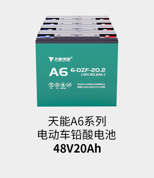 壹号电池48v20ah