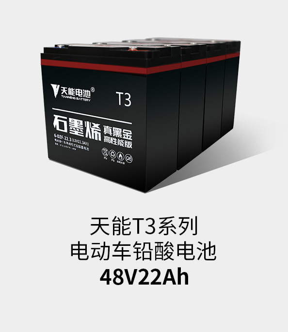 壹号T3系列48v22ah